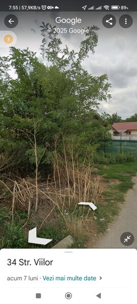 Frumusani, Calarasi, 15 minute de la Big Berceni,